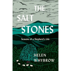 The Salt Stones | WHYBROW HELEN (ISBN: 9781571311627)