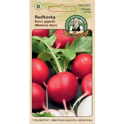 Semenárstvo Reďkovka Maslový obor 6g