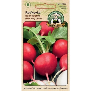 Semenárstvo Reďkovka Maslový obor 6g