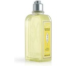 Šampony L´Occitane Citrus Verbena Shampoo 250 ml