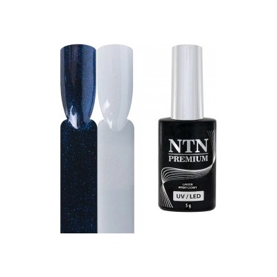 NTN Top no wipe premium SHIMMER ARIES 5 ml