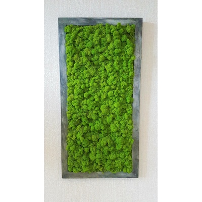 Mechový obraz v patinovaném rámu 80 cm x 30 cm