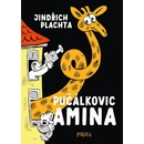 Pučálkovic Amina