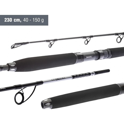 Daiwa BG Popper 2,3 m 40-150 g 2 díly