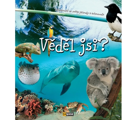 V ěděl jsi?