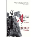 A Natural History of Hell: Stories Ford Jeffrey Paperback