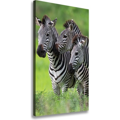 Vertikálny foto obraz na plátne do obývačky Tri zebry 50x100 cm
