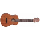 Takamine GUS1