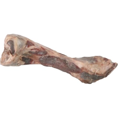 Kerbl Pochúťka pes kosť od šunky 24 cm