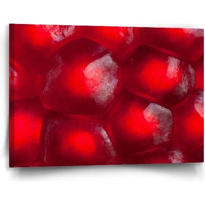 Sablio Obraz Granátové jablko - 90x60 cm