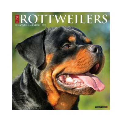 Rottweilers 12 X 12 Wall 2026