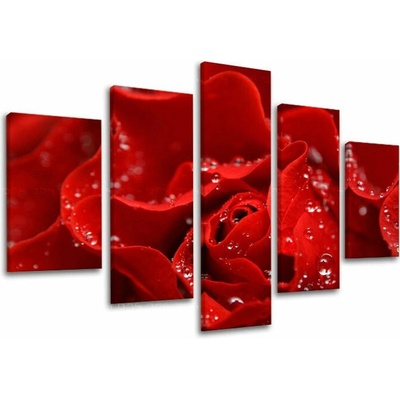 Obraz na stenu KVETY - 150x100