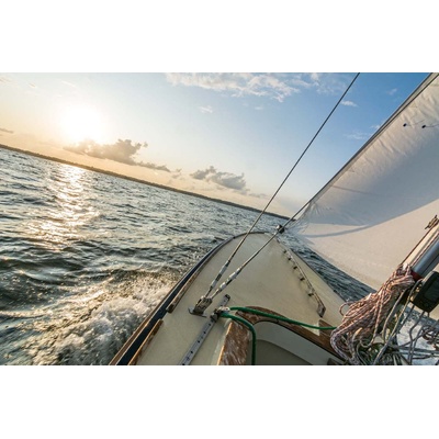 DIMEX ART Флизелинов фототапет платноходка 375 x 250 см