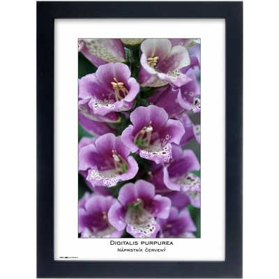 TRADAG Natura 21 x 29,7 - A4 černý – Zboží Živě