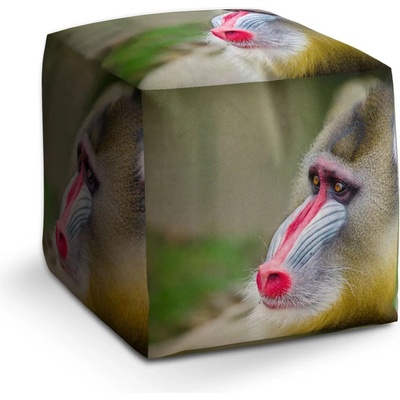 Sablio Taburet Mandril: 40x40x40 cm