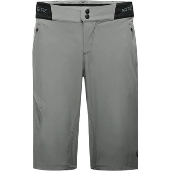 Gore C5 Shorts 2024 lab gray
