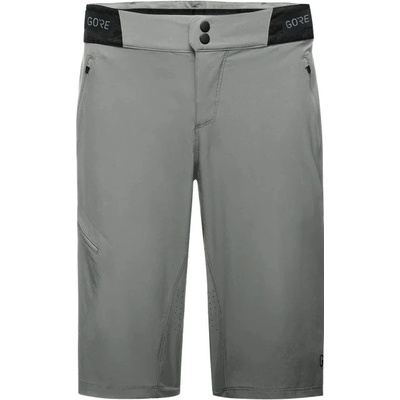 Gore C5 Shorts 2024 lab gray