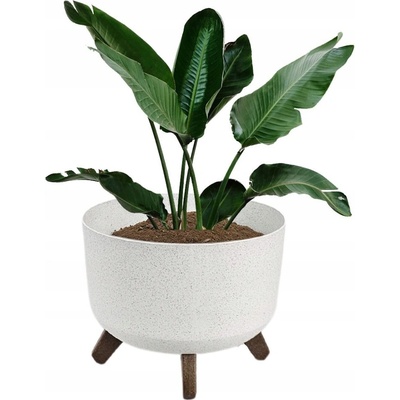 PROGARDEN Květináč 29 x 22 cm béžová KO-Y89300290