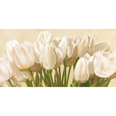 Bílé tulipány 1 deska 100x50