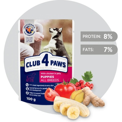 Club 4 Paws Premium for puppies With chicken in jelly 100 g