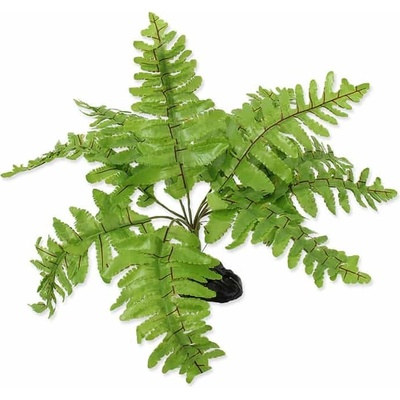 Repti planet Rostlina kapradí Nephrolepis 20 cm