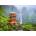 Enjoy - Puzzle Seiganto-ji Pagoda, Japan - 1 000 piese