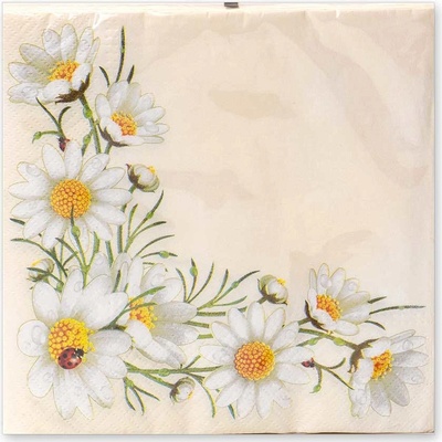 Argus Papírové ubrousky 33x33 cm 20ks 19035005