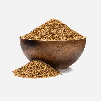 Grizly Alfalfa BIO semienka na klíčenie 250 g