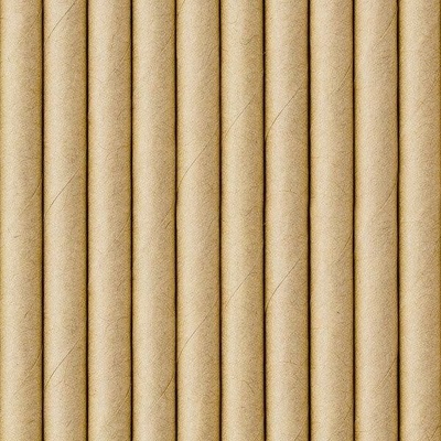 Partydeco Papírové brčka kraftové 19,5 cm 10 ks