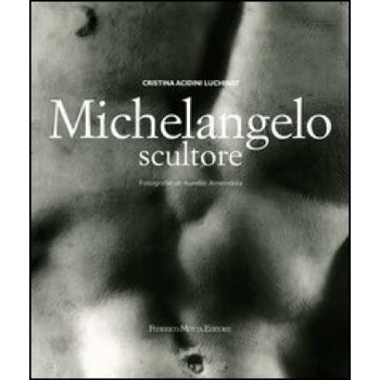 Michelangelo scultore