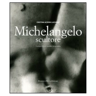 Michelangelo scultore