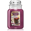 Country Candle Blueberry Lemonade 652 g