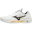 Mizuno WAVE STEALTH V x1ga1800-13