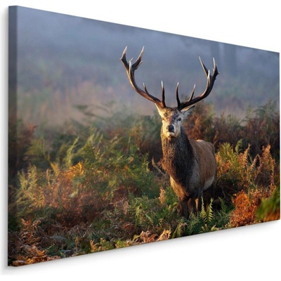 MyBestHome BOX Plátno Impozantní Jelen V Lese Varianta: 90x60