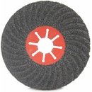 Rapid Brúsny fibrový vláknitý kotúč 125 mm 100 M08323