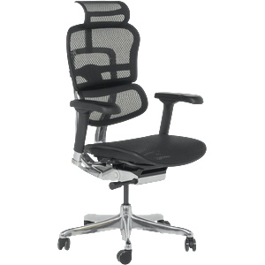 Ergohuman Ергономичен стол ergohuman elite 2 - черна рамка - черен (3520660) - tierradesign