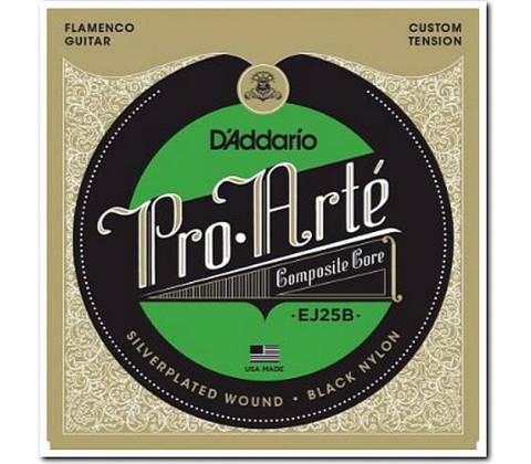 D'Addario EJ25B