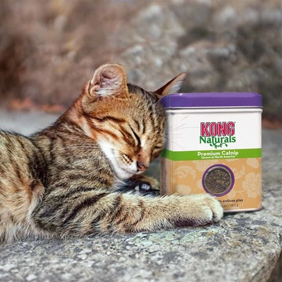 Kong Catnip prémium 62 g