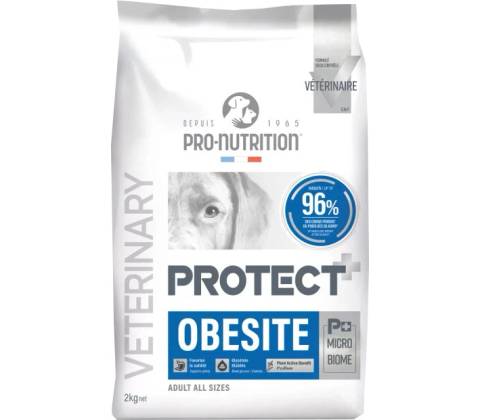 Flatazor Protect Obesity 2 kg