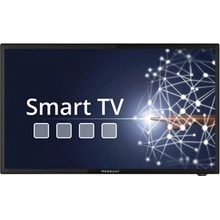 Megasat Camping TV Royal Line IV 19" SMART