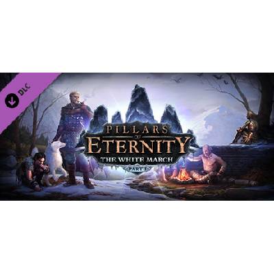 Pillars of Eternity - The White March Part 1