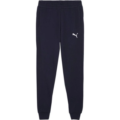 Puma Team Goal Casuals M 658598 06 pants