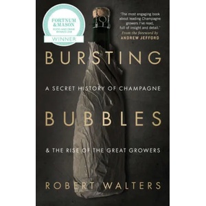 Bursting Bubbles | Robert Walters (ISBN: 9781846892790)