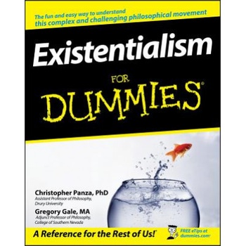Existentialism For Dummies Panza Christopher