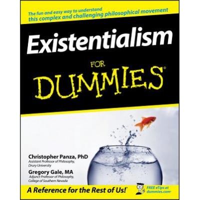 Existentialism For Dummies Panza Christopher