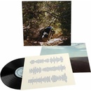 Ty Segall - Possession LP