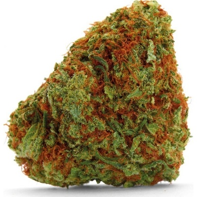 Growers Choice Bubblegum x Fat Hog semena neobsahují THC 5 ks