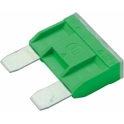Poistka BOSCH 1 987 529 019