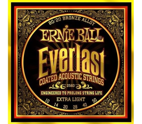 Ernie Ball 2560