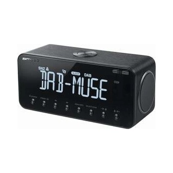 Muse M-196DAB